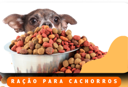 Ração para Cães