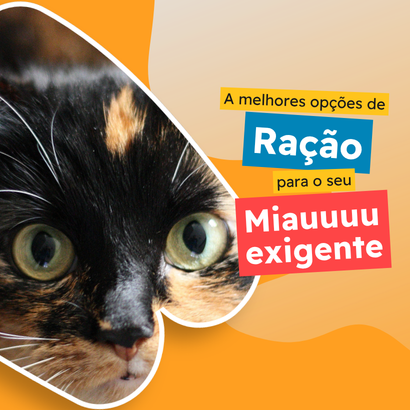 Rações para gatos