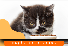 Ração para Gatos