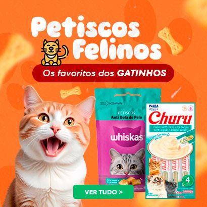 Petiscos felinos: Os favoritos dos gatinhos