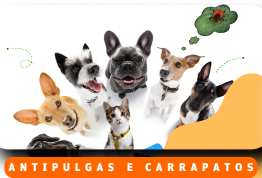 Anti-pulgas e Carrapatos