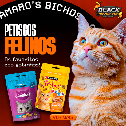 Petiscos felinos: Os favoritos dos gatinhos