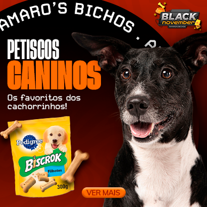  Petiscos caninos: Os Favoritos dos Cachorrinhos