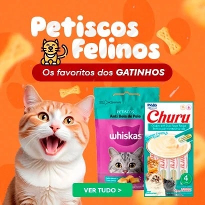 Petiscos felinos: Os favoritos dos gatinhos
