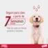 Advantage Max3 proteção spotOn contra carrapatos e pulgas  0,4ml para Cães Até 4kg