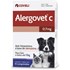 Alergovet C Antialérgico com 10 comprimidos