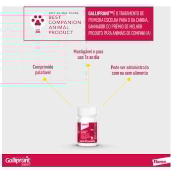 Anti-Inflamatório Elanco Galliprant 100mg para Cães Anti-Inflamatório Elanco Galliprant 100mg para Cães