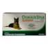 Antibiótico Vetnil Doxiciclina 100 mg para Cães com 14 Comprimidos