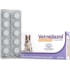 Antibiótico Vetnil Vetnidazol 300mg para Cães e Gatos