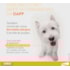 Antipulgas e vermicida Advocate para cães de 4 a 10kg - 1,0ml
