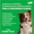 Antipulgas Elanco Credeli Plus para Cães de 11 a 22 kg C/1 Comprimido