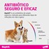 Baytril Flavour Antibiótico para cães e gatos 150mg 10 comprimidos