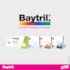 Baytril Flavour Antibiótico para cães e gatos 15mg 10 comprimidos