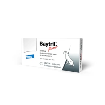 Baytril Flavour Antibiótico para cães e gatos 250mg 06 Comprimidos Baytril Flavour Antibiótico para cães e gatos 250mg 06 Comprimidos