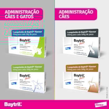 Baytril Flavour Antibiótico para cães e gatos 250mg 06 Comprimidos Baytril Flavour Antibiótico para cães e gatos 250mg 06 Comprimidos