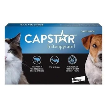 Capstar Antipulgas 11mg para Cães e Gatos até 11kg