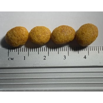 Ração Fri Dog Vegetariana 2Kg Ração Fri Dog Vegetariana 2Kg