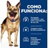 Ração Hill's Prescription Diet Gastro Intestinal Biome para Cães