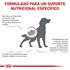 Ração Royal Canin Canine Veterinary Diet Renal Special para Cães