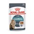 Ração Royal Canin Sachê Feline Hairball Care Eliminação de Pelos Ingeridos para Gatos