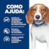 Ração Seca Hill's Prescription Diet R/D Obesidade para Cães que Necessitem Reduzir o Peso