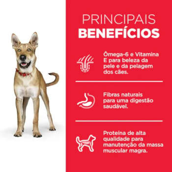 Ração Seca Hill's Science Diet para Cães Adultos