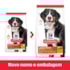 Ração Seca Hill's Science Diet para Cães Adultos Raças Grandes 12kg