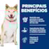 Ração Seca Hill's Science Diet Pele Sensível Proteína Sustentável Para Cães Adultos Pedaços Pequenos 1,58kg