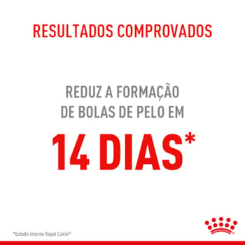 Ração Seca Royal Canin Bolas de Pelo para Gatos Adultos Ração Seca Royal Canin Bolas de Pelo para Gatos Adultos