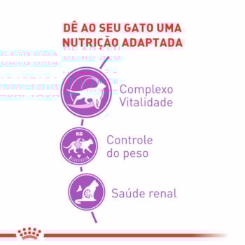 Ração Seca Royal Canin Castrados 7+ para Gatos Adultos Castrados Acima de 7 anos Ração Seca Royal Canin Castrados 7+ para Gatos Adultos Castrados Acima de 7 anos