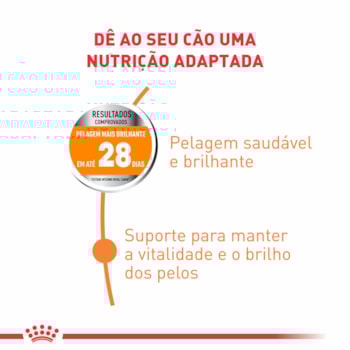 Ração Seca Royal Canin Cuidado da Pelagem para Cães Adultos de Porte Pequeno a partir de 10 meses de idade