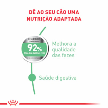 Ração Seca Royal Canin Cuidado Digestivo para Cães Adultos de Porte Mini a partir de 10 meses de idade