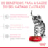 Ração Seca Royal Canin Filhotes Castrados para Gatos Filhotes Castrados de 6 a 12 meses