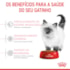 Ração Seca Royal Canin Filhotes para Gatos Filhotes com até 12 meses de Idade