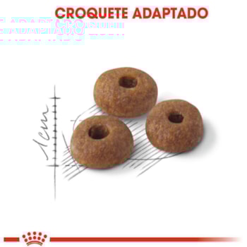 Ração Seca Royal Canin Fit para Gatos adultos