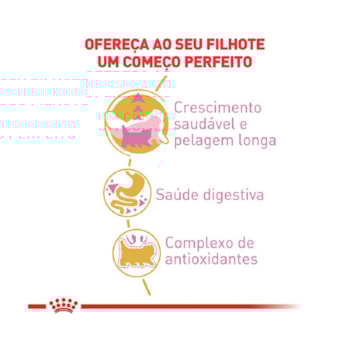 Ração Seca Royal Canin Kitten Persian para Gatos Filhotes da Raça Persa Ração Seca Royal Canin Kitten Persian para Gatos Filhotes da Raça Persa