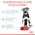 Ração Seca Royal Canin Maxi Puppy para Cães Filhotes de Porte Grande