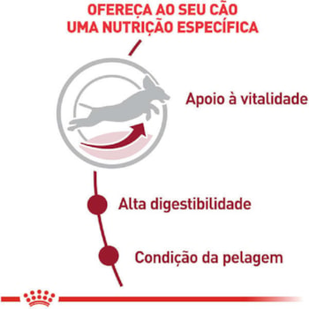 Ração Seca Royal Canin Medium Adult 7+ para Cães Adultos de Porte Médio com 7 Anos ou mais