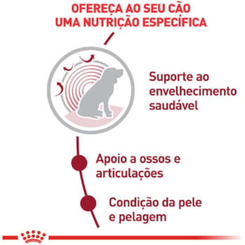 Ração Seca Royal Canin Medium Ageing 10 + para Cães Idosos de Porte Médio com 10 Anos ou mais