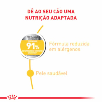 Ração Seca Royal Canin Medium Dermacomfort para Cães Adultos ou Idosos de Porte Médio