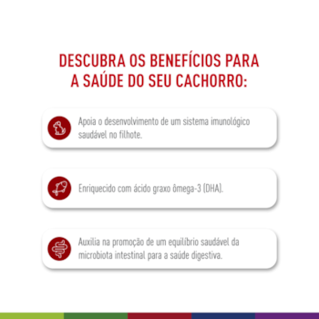 Ração Seca Royal Canin Medium Puppy para Cães Filhotes de Porte Médio Ração Seca Royal Canin Medium Puppy para Cães Filhotes de Porte Médio
