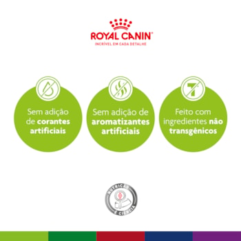 Ração Seca Royal Canin Mini Adult para Cães Adultos de Porte Pequeno Ração Seca Royal Canin Mini Adult para Cães Adultos de Porte Pequeno