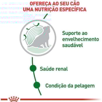 Ração Seca Royal Canin Mini Ageing 12+ para Cães Idosos de Porte Pequeno com 12 Anos ou mais Ração Seca Royal Canin Mini Ageing 12+ para Cães Idosos de Porte Pequeno com 12 Anos ou mais