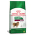 Ração Seca Royal Canin Mini Indoor Adult para Cães Adultos de Porte Pequeno