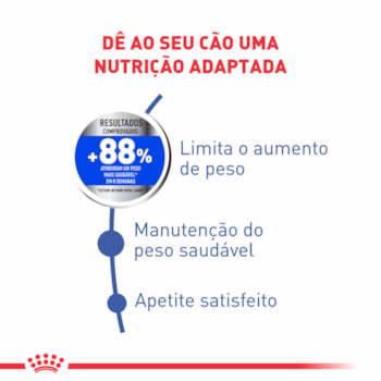 Ração Seca Royal Canin Mini Light para Cães Adultos de Porte Pequeno com Tendência à Obesidade Ração Seca Royal Canin Mini Light para Cães Adultos de Porte Pequeno com Tendência à Obesidade