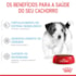 Ração Seca Royal Canin Mini Puppy para Cães Filhotes de Porte Pequeno