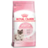 Ração Seca Royal Canin Mother & Babycat para Gatas gestantes/lactantes e Gatos Filhotes de 1 a 4 Meses de Idade