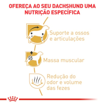 Ração Seca Royal Canin para Cães Adultos da Raça Dachshund