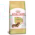 Ração Seca Royal Canin para Cães Adultos da Raça Dachshund