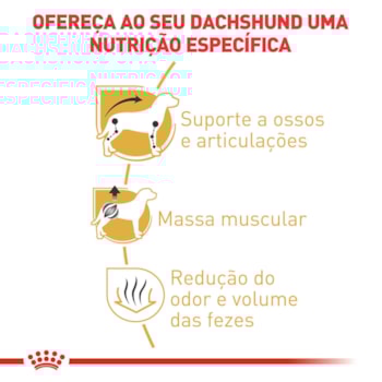 Ração Seca Royal Canin para Cães Adultos da Raça Dachshund